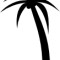 Palm tree